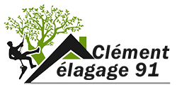 elagage-clement-elagage-91